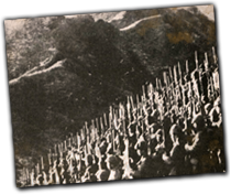 GFX_report_event_japan_army_mountainside